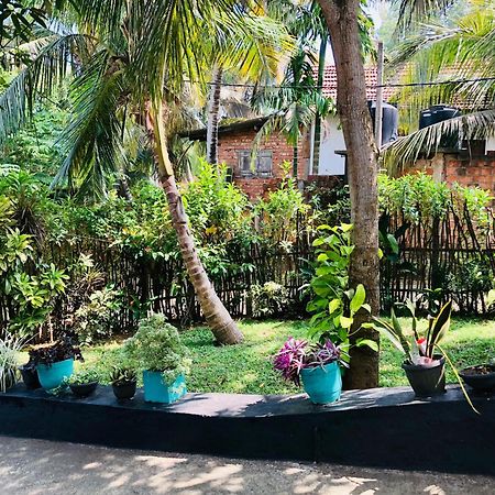 Mahee House Hotel Dikwella Ngoại thất bức ảnh